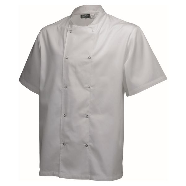 Picture of Basic Stud Jacket (Short Sleeve) White M Size