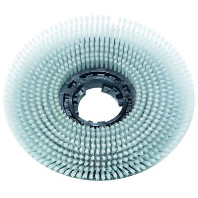 Picture of TASKI Scrubbing Brush,  1pc - 17" / 43 cm , fits TASKI swingo 455, 755, ergodisc 165, 200, HD, duo