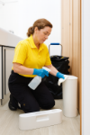 Picture of Sanitary Disposal Bin, Serviced.